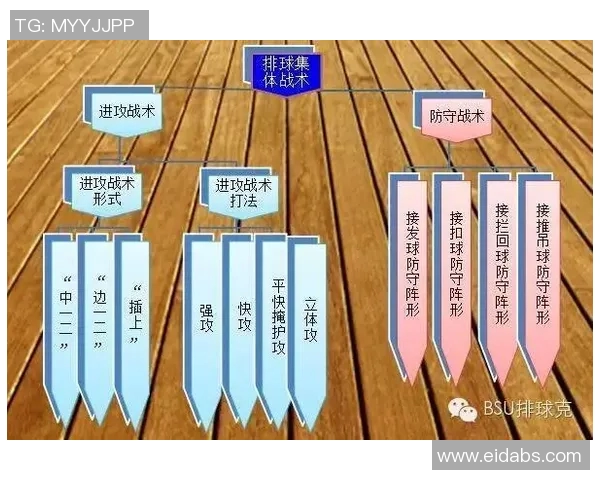 广州排球队的战术解析与技术控制深度剖析