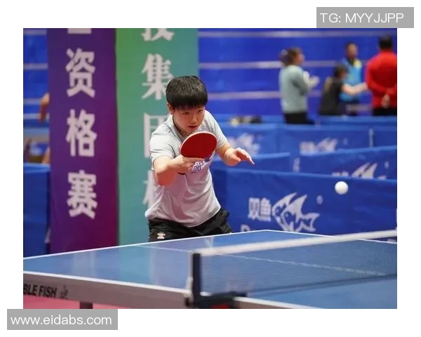 成都乒乓球队个人能力分析与表现评估研究报告